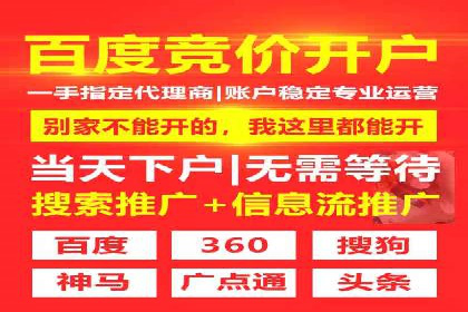 某电商平台的SEM代运营策略及效果评估